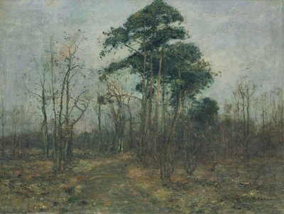 Parklandschaft: Wald im Frühling von Rudolf Hockner